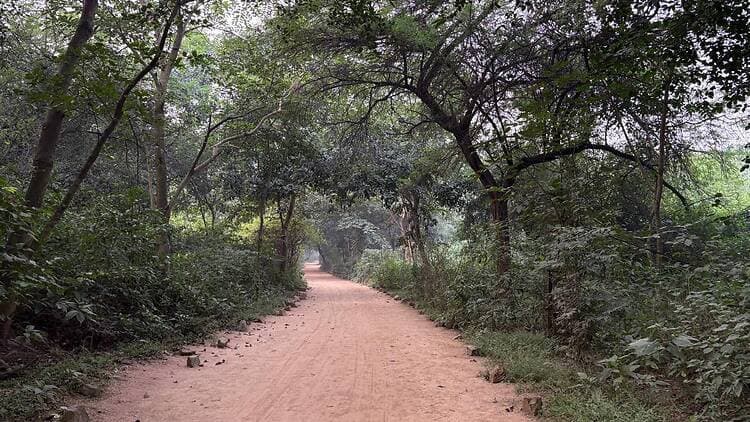 Sanjay Van — photo 1