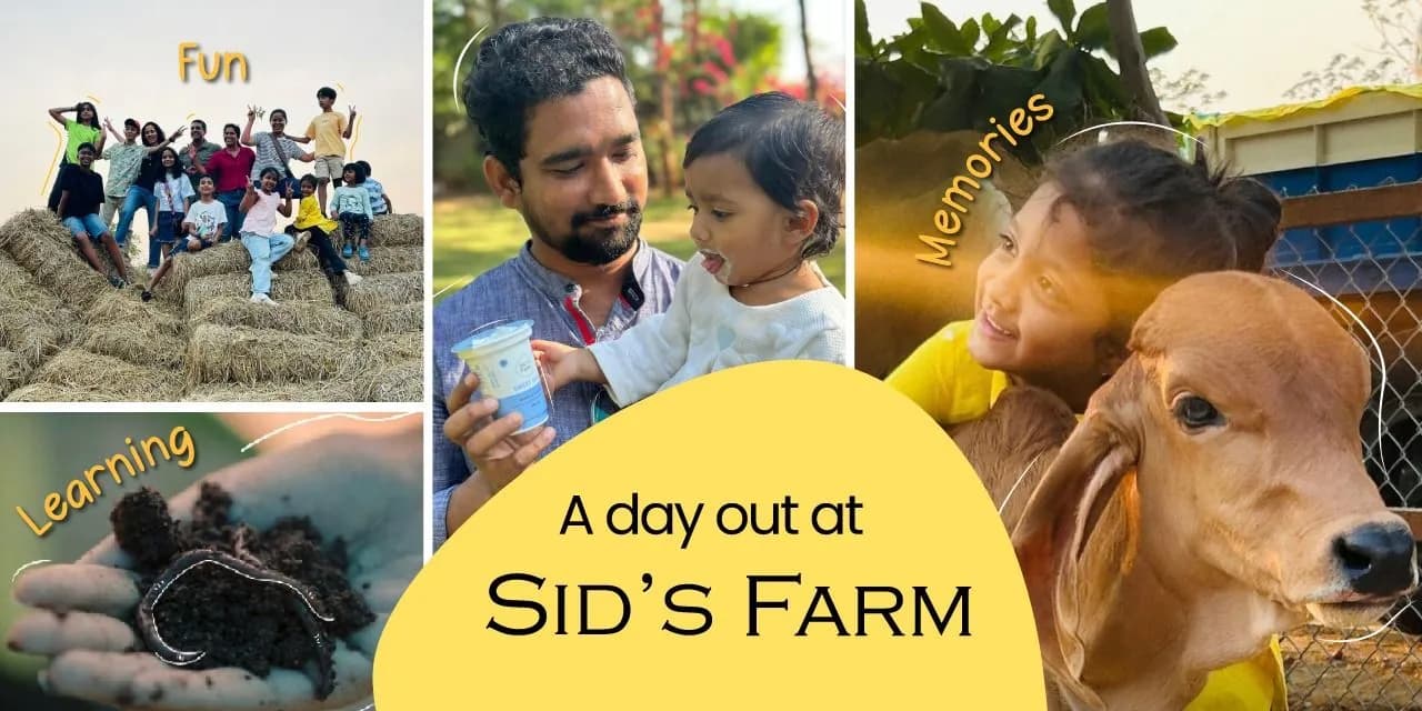 Sid's Farm - Weekend Visit — photo 1