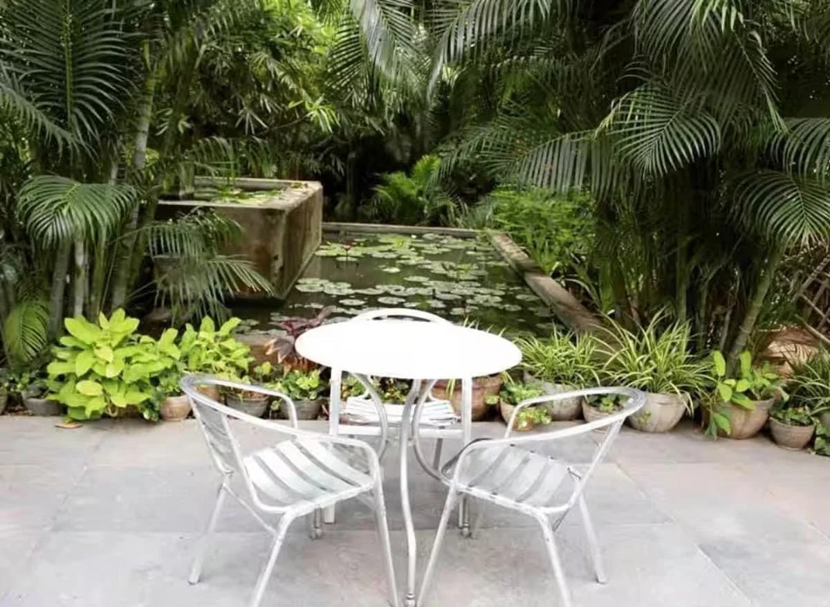 Amethyst - Wild Garden Café — photo 1
