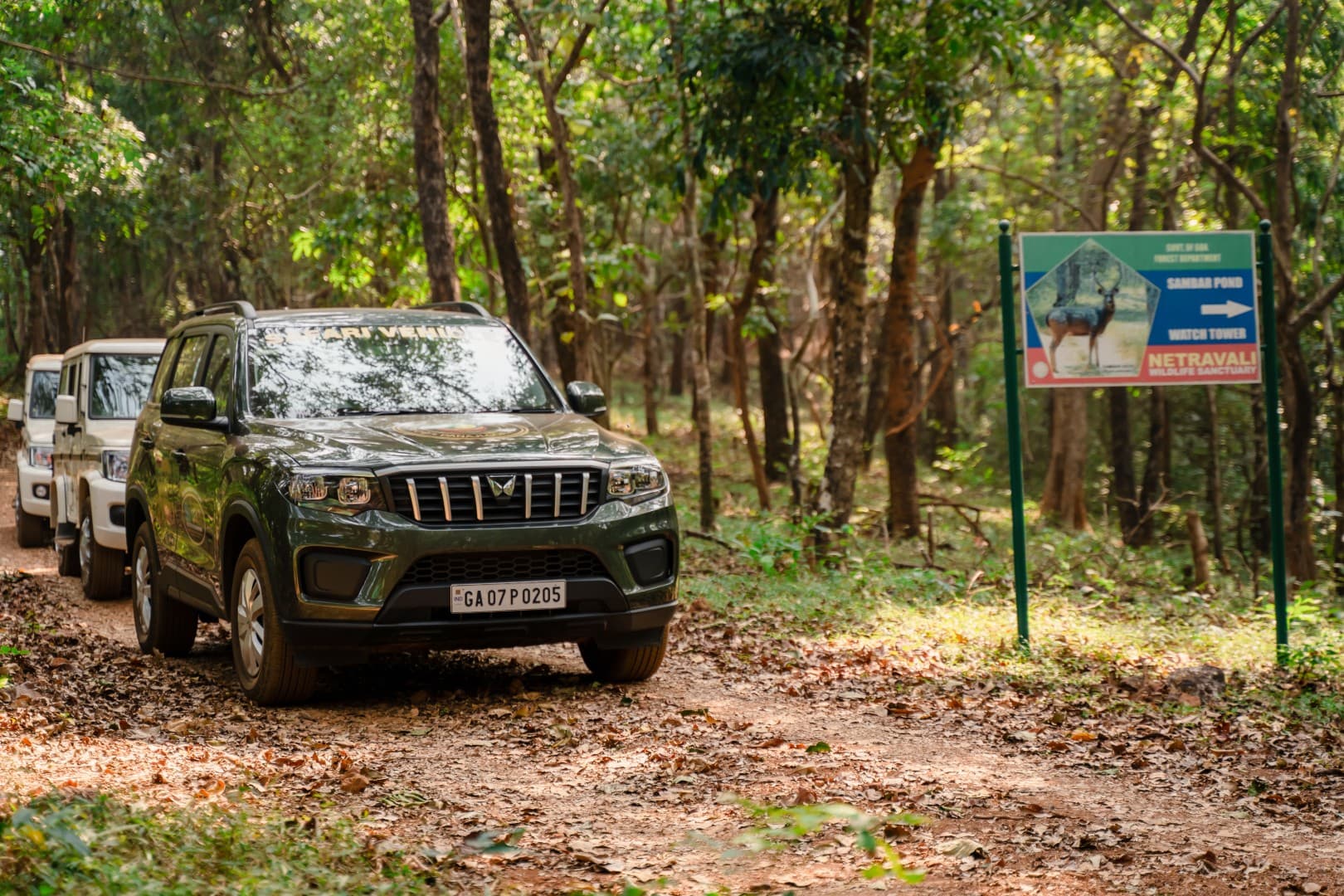 Netravali Wildlife Sanctuary — photo 1
